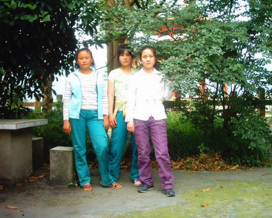 2006  (26)